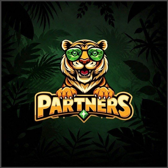 Spintiger Partners